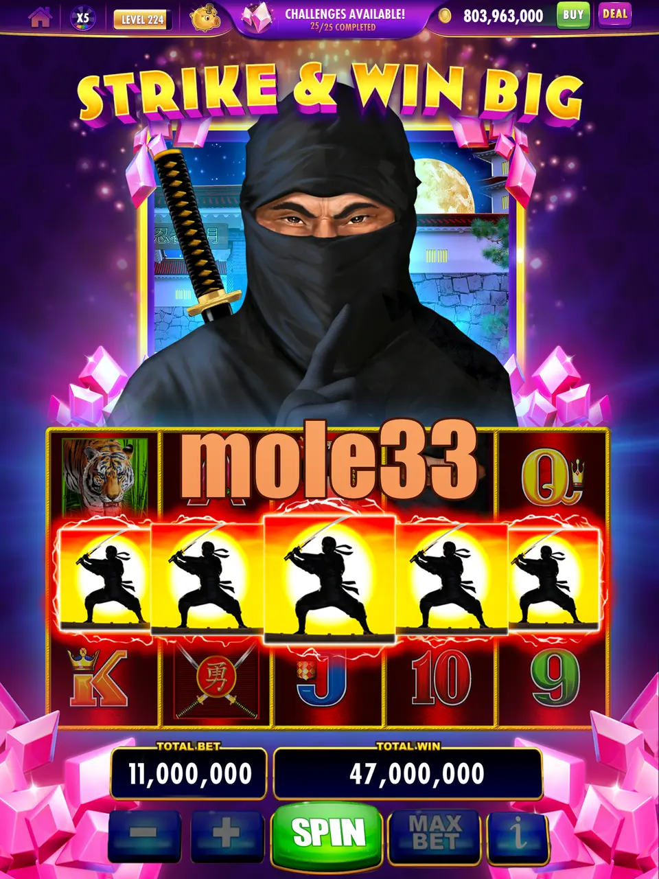 mole33 Masuk